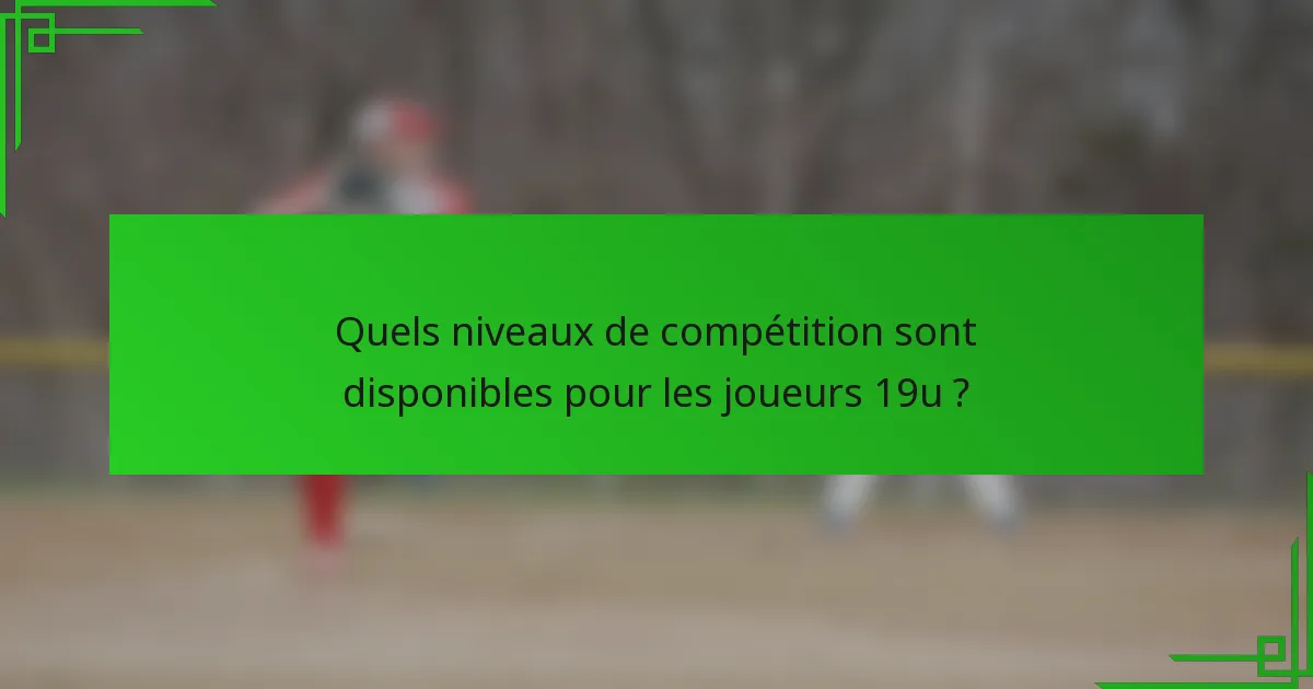 Quels niveaux de compétition sont disponibles pour les joueurs 19u ?